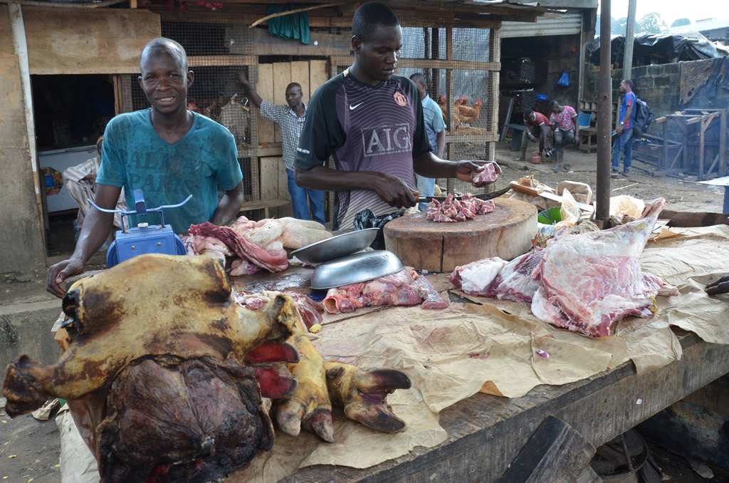Dossier Scurit alimentaire : la Cte d'Ivoire vise l'autosuffisance en protines animales et halieutiques